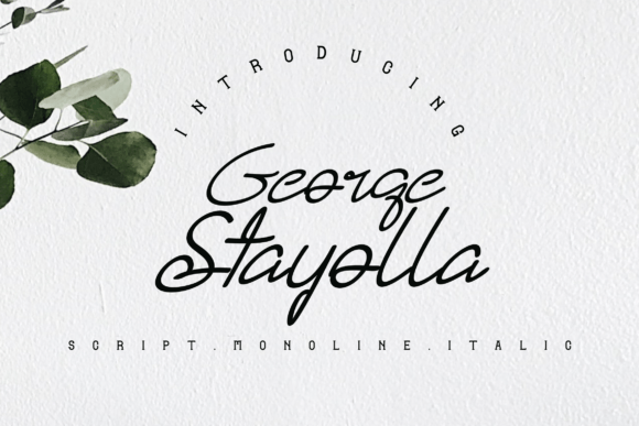 George Stayolla Font: Elevating Modern Design with Handwritten Elegance