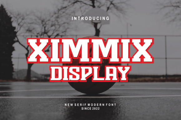 Ximmix Display Font: A Charming Serif for Modern Design